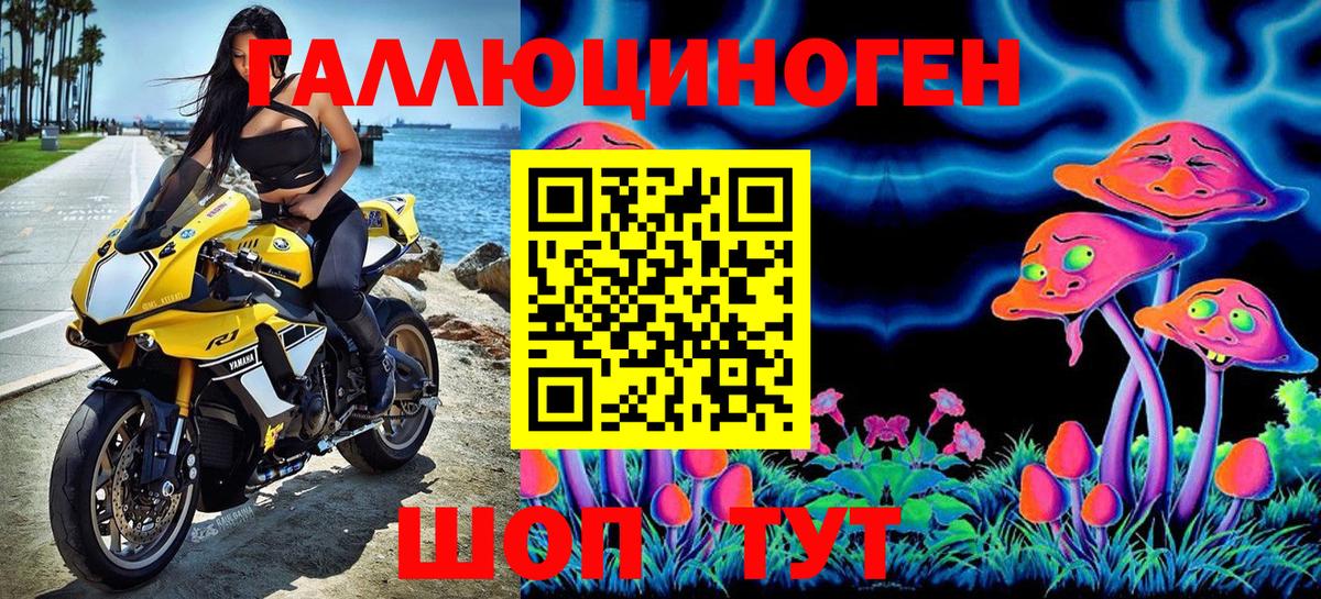 Псилоцибиновые грибы прущие грибы Дзержинский