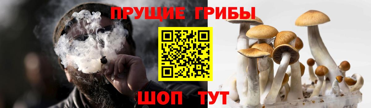 Дзержинский  Галлюциногенные грибы GOLDEN TEACHER  Вход с VPN 